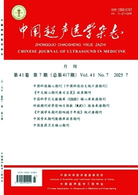 中国超声医学杂志杂志